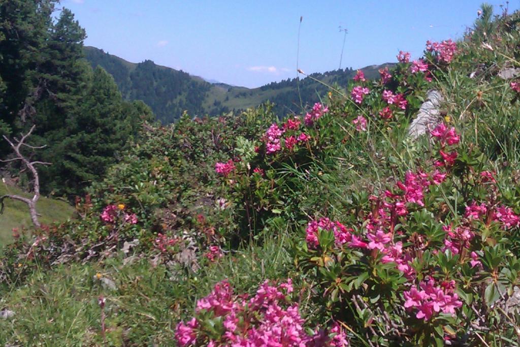 Gaestehaus Die Geislerin Gerlos Esterno foto